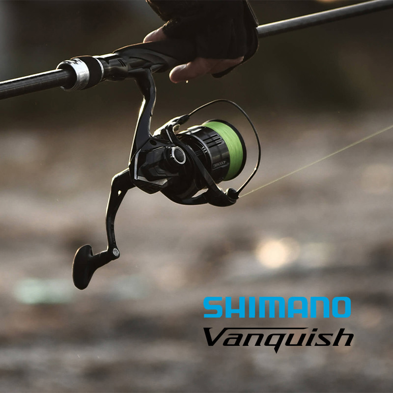 Shimano 23 Vanquish Origin Fis - đánh giá và giá Daiwa Reel Fuego
